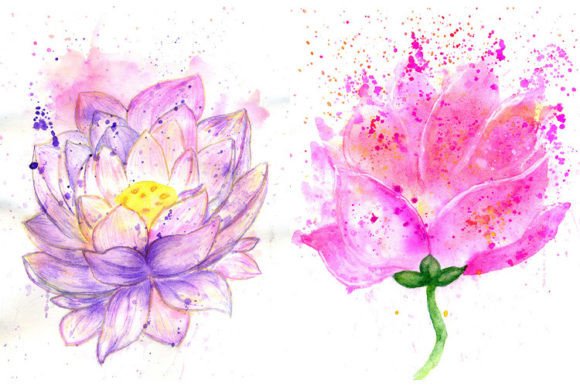 Download Lotus Flower Watercolor - Lotus Collection